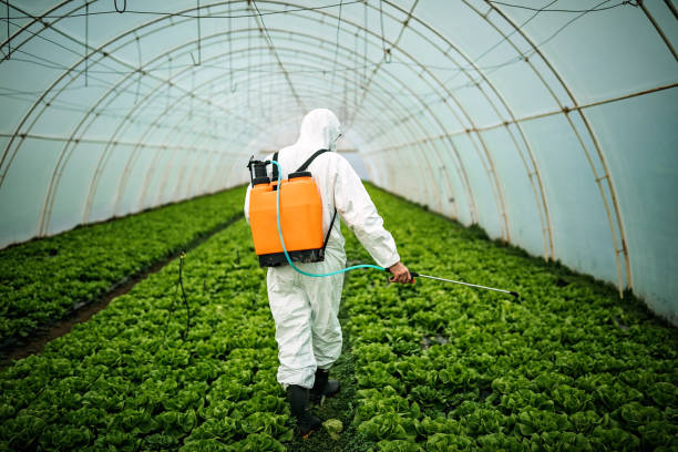 Professional Pest Control in Salem, AR