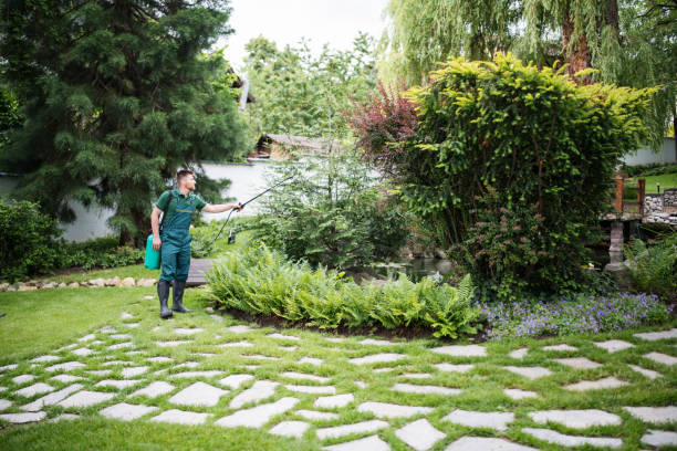 Best Pest Prevention Services  in Salem, AR