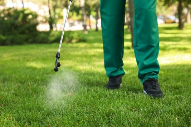 Best Affordable Pest Control Services  in Salem, AR