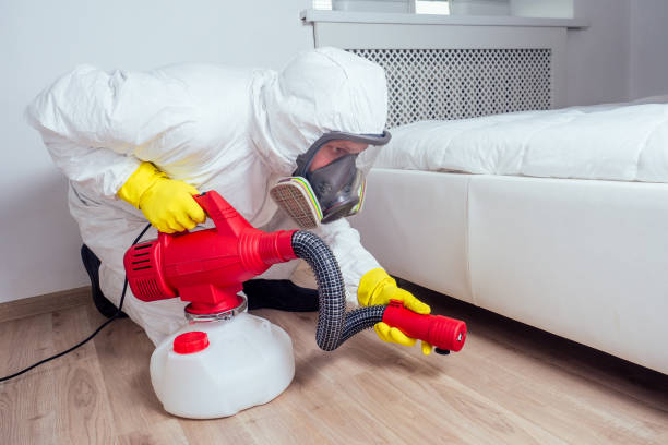 Best Affordable Pest Control Services  in Salem, AR