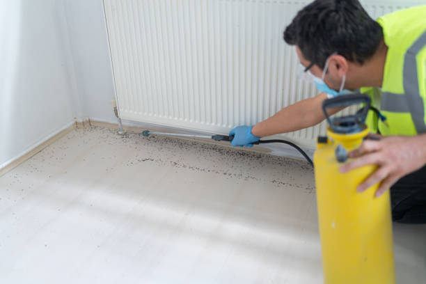 Best Commercial Pest Control Services  in Salem, AR