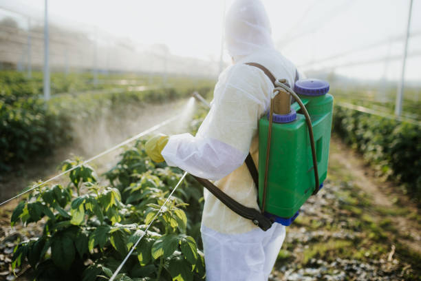 Best Emergency Pest Control  in Salem, AR